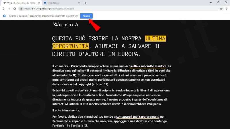 wikipedia oscurata